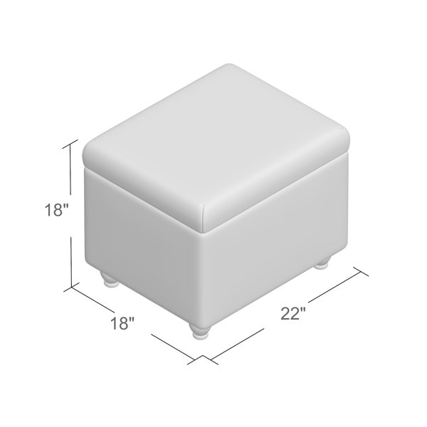 Andover Mills™ Birmingham Storage Ottoman & Reviews Wayfair